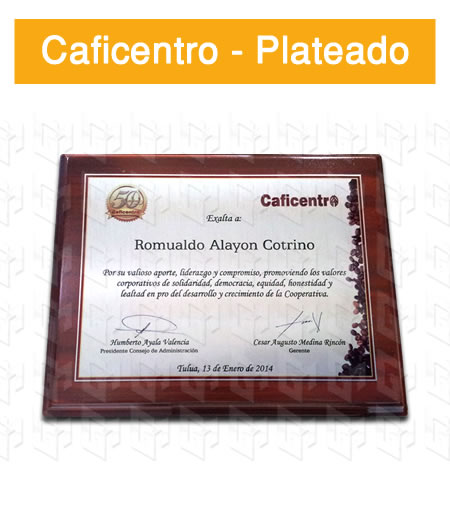 placa estampada aluminio plateado
