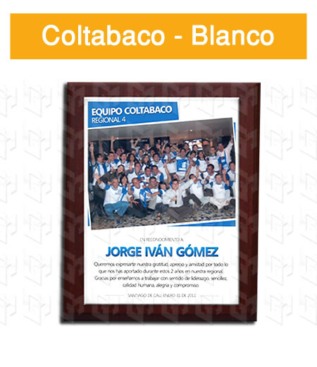 placa estampada aluminio blanco