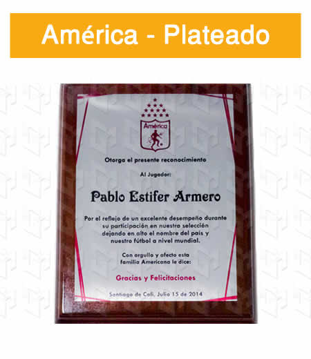 placa estampada aluminio plateado
