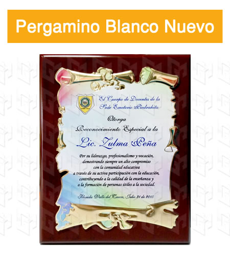 placa estampada aluminio blanco