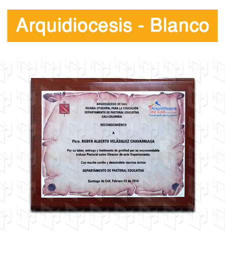 placa estampada aluminio blanco