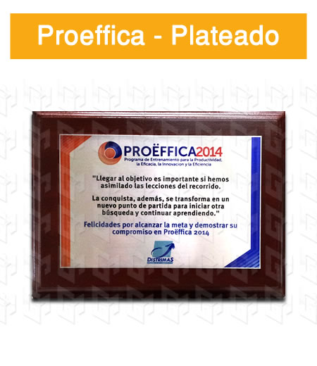 placa estampada aluminio plateado