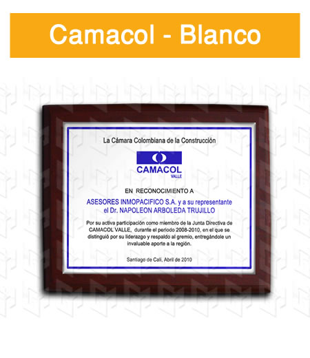 placa estampada aluminio blanco