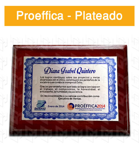 placa estampada aluminio plateado
