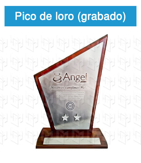 pico de loro 2 en madera con placa grabada