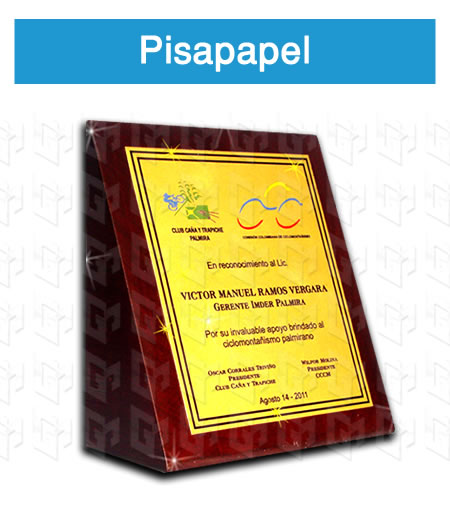 trofeo pisa papel